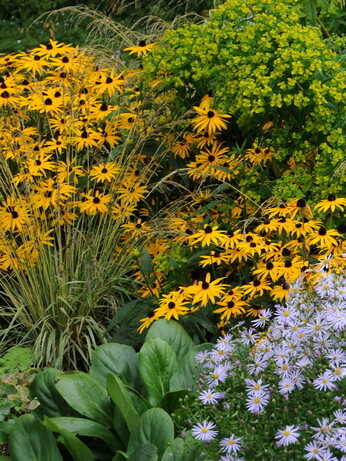 Getting Started in Gardening Getting Started in Gardening