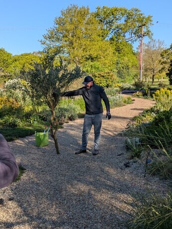 Weekly catch up with garden & propagation Weekly catch up with garden & propagation