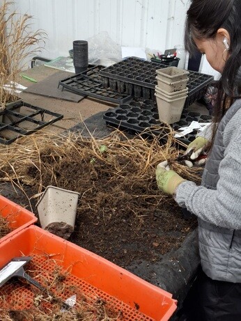 Weekly catch up with garden & propagation Weekly catch up with garden & propagation
