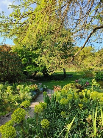 Weekly catch up with garden & propagation Weekly catch up with garden & propagation