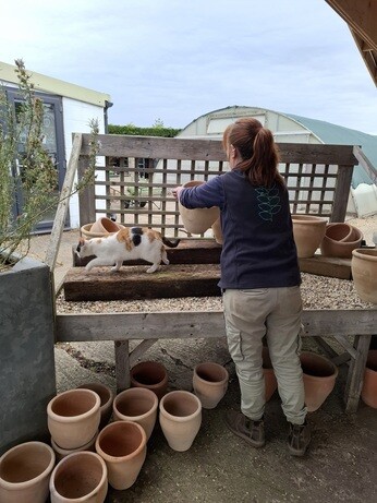 Weekly catch up with gardens & propagation Weekly catch up with gardens & propagation