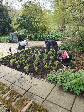 Weekly catch up with gardens & propagation Weekly catch up with gardens & propagation