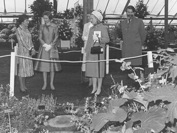 The Queen's Platinum Jubilee The Queen's Platinum Jubilee