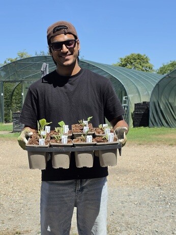 Weekly catch up with garden and propagation Weekly catch up with garden and propagation