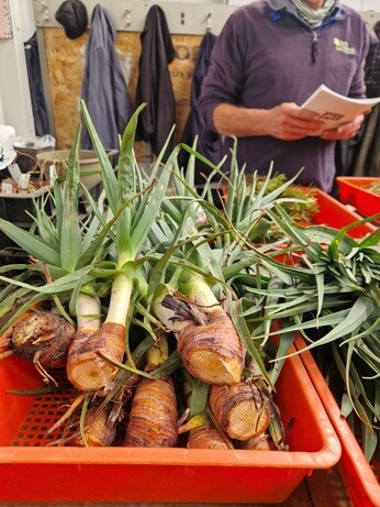 Propagation jobs this month Propagation jobs this month