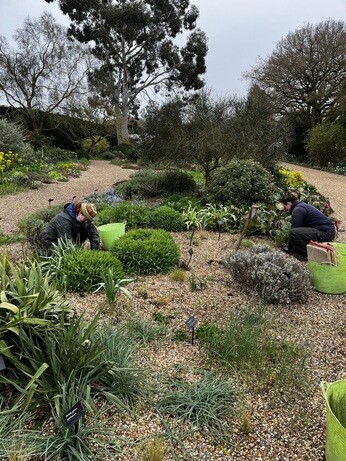 Weekly catch up with garden & propagation Weekly catch up with garden & propagation