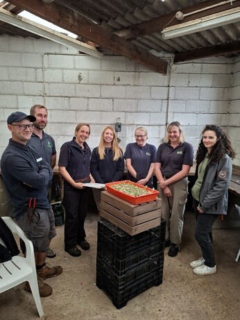 Weekly catch up with garden and propagation Weekly catch up with garden and propagation