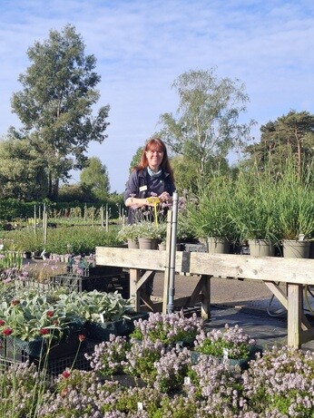 Weekly catch up with garden & propagation Weekly catch up with garden & propagation