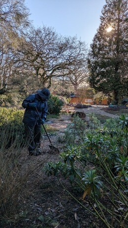 Weekly catch up with garden & propagation Weekly catch up with garden & propagation