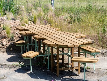 Beth Chatto's Meanwhile Garden Beth Chatto's Meanwhile Garden
