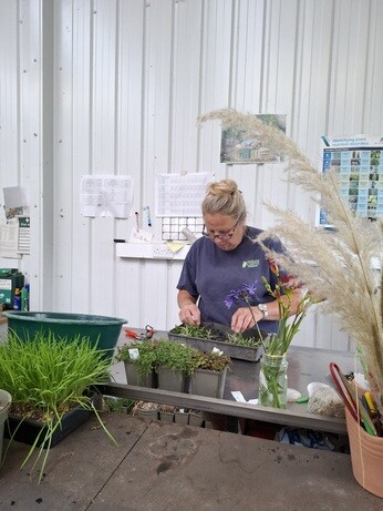 Weekly catch up with garden & propagation Weekly catch up with garden & propagation