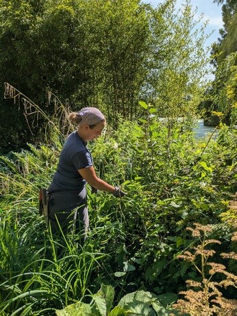 Weekly catch up with garden & propagation Weekly catch up with garden & propagation