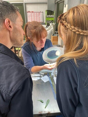 Weekly catch up with garden & propagation Weekly catch up with garden & propagation