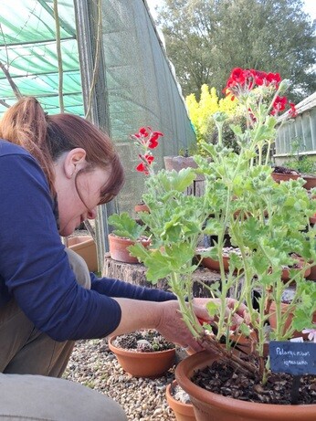 Weekly catch up with garden & propagation Weekly catch up with garden & propagation