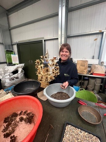 Weekly catch up with garden & propagation Weekly catch up with garden & propagation