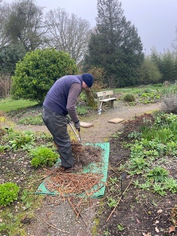 Weekly catch up with garden & propagation Weekly catch up with garden & propagation
