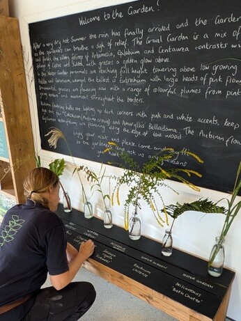 Weekly catch up with garden and propagation Weekly catch up with garden and propagation