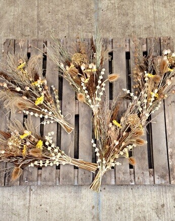 November news from the garden and propagation November news from the garden and propagation