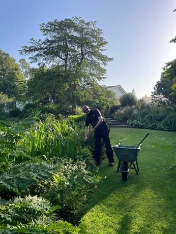 Weekly catch up with garden and propagation Weekly catch up with garden and propagation