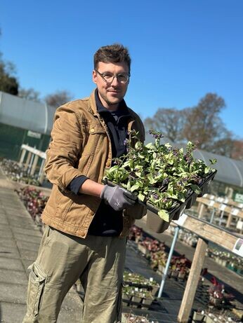 Weekly catch up with gardens & propagation Weekly catch up with gardens & propagation