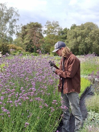 Weekly catchup with garden and propagation Weekly catchup with garden and propagation