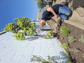 Weekly catch up with garden and propagation Weekly catch up with garden and propagation