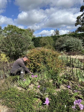 Weekly catch up with garden & propagation Weekly catch up with garden & propagation