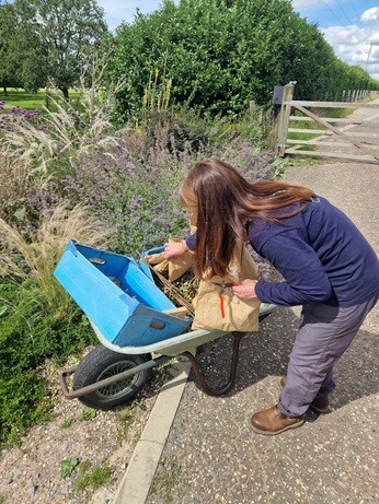 Seed collecting with propagation expert Emily Seed collecting with propagation expert Emily