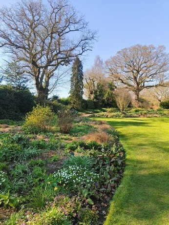 Weekly catch up with garden & propagation Weekly catch up with garden & propagation