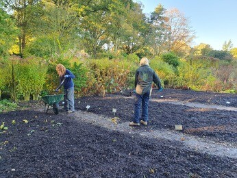 Preparing for winter with the propagation team Preparing for winter with the propagation team