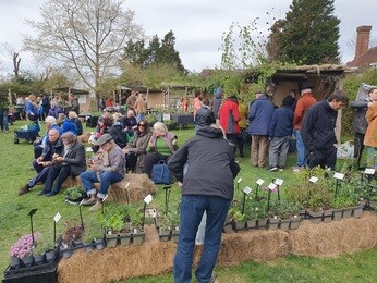 A glorious weekend at Great Dixter's Spring Plant Fair A glorious weekend at Great Dixter's Spring Plant Fair