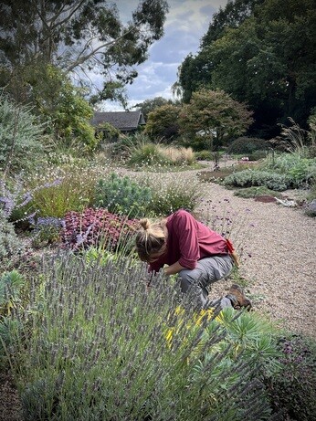 Weekly catch up with garden & propagation Weekly catch up with garden & propagation
