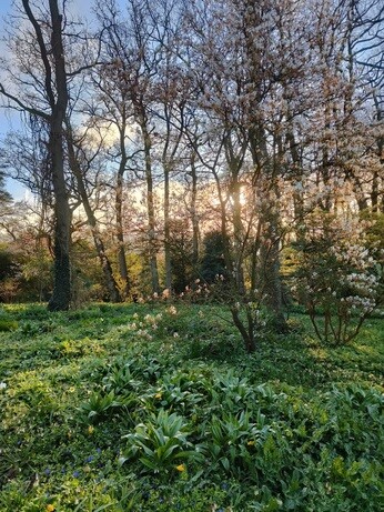 Weekly catch up with garden & propagation Weekly catch up with garden & propagation