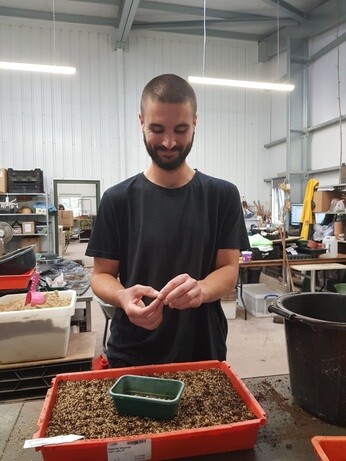 Weekly catch up with garden and propagation Weekly catch up with garden and propagation