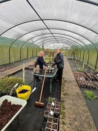 Weekly catch up with garden & propagation Weekly catch up with garden & propagation