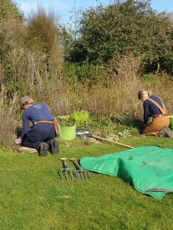Weekly catch up with gardens & propagation Weekly catch up with gardens & propagation
