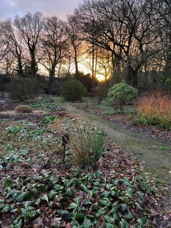 Weekly catch up with garden & propagation Weekly catch up with garden & propagation