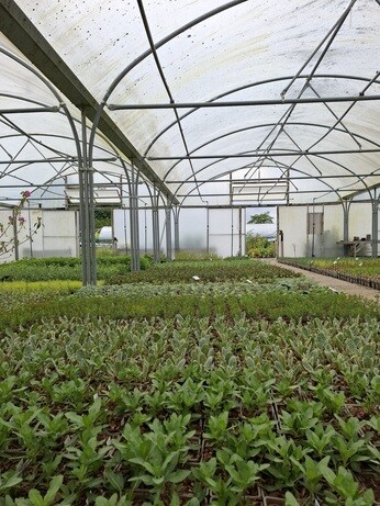 A look back at 2024 with the propagation team A look back at 2024 with the propagation team