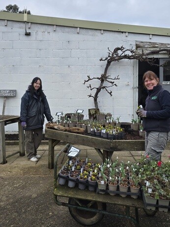 Weekly catch up with garden & propagation Weekly catch up with garden & propagation