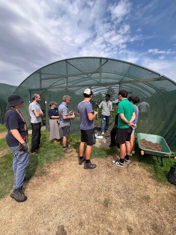 Weekly catch up with garden and propagation Weekly catch up with garden and propagation