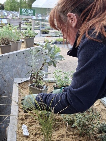 Weekly catch up with garden & propagation Weekly catch up with garden & propagation