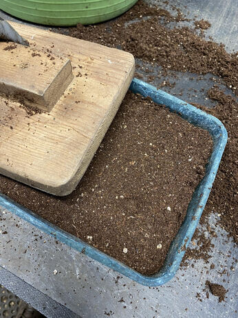 A guide to seed sowing A guide to seed sowing