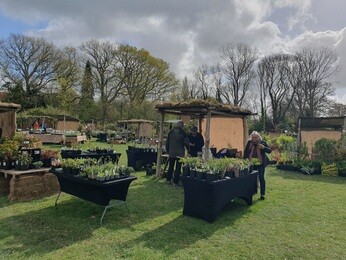 A glorious weekend at Great Dixter's Spring Plant Fair A glorious weekend at Great Dixter's Spring Plant Fair