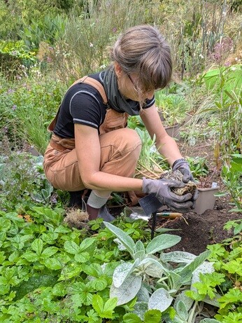 Weekly catch up with garden & propagation Weekly catch up with garden & propagation