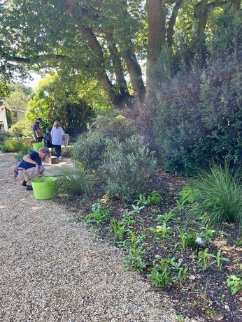Weekly catch up with garden & propagation Weekly catch up with garden & propagation