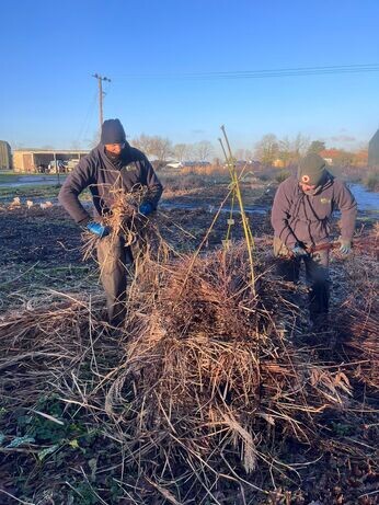 January news from the garden and propagation January news from the garden and propagation