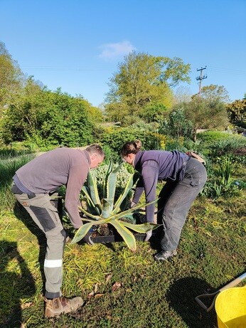 Weekly catch up with garden & propagation Weekly catch up with garden & propagation