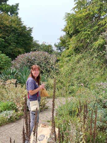Weekly catch up with garden & propagation Weekly catch up with garden & propagation