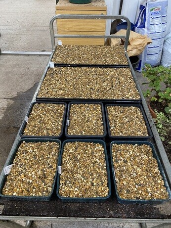 A guide to seed sowing A guide to seed sowing