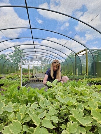 Behind the scenes in propagation- June Behind the scenes in propagation- June